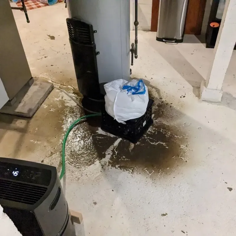 Sewage Backup Cleanup Service in Cochranton, PA